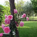 Bakovic - Beautiful View, Near Split & Trogir, Full Ac Kastela
